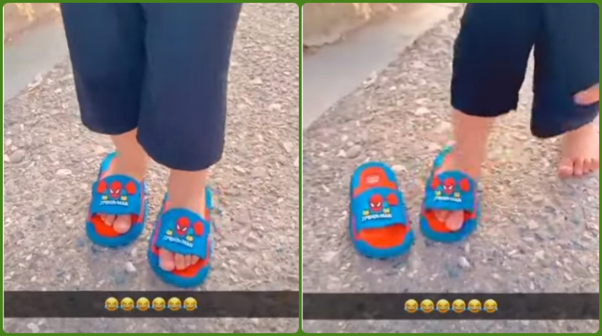 运用Detectron2